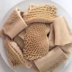 Honey Comb Shaki