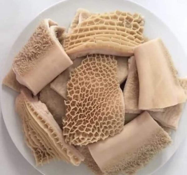 Honey Comb Shaki