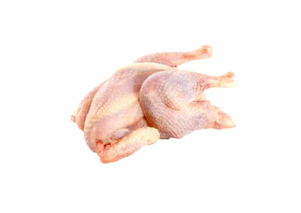 Hard Chicken 1/2 Cartoon