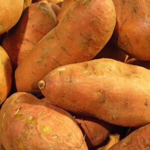 Sweet Potatoe