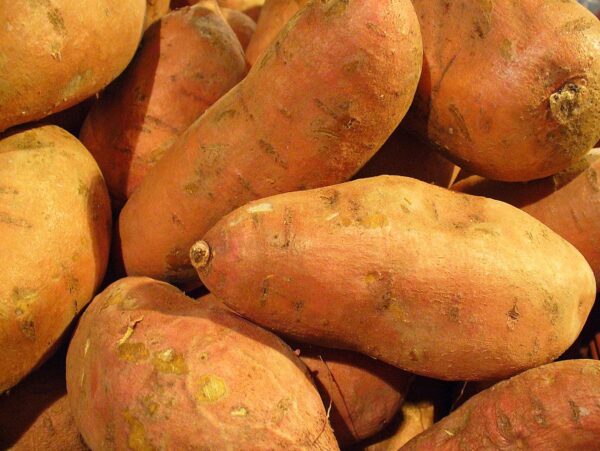 Sweet Potatoe