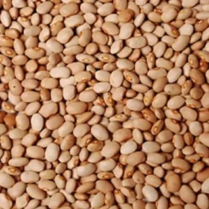 African Best Honey Beans