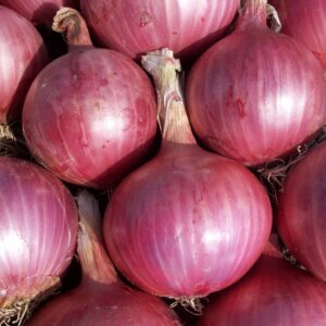 Onion