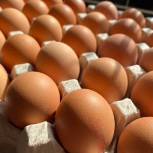Egg