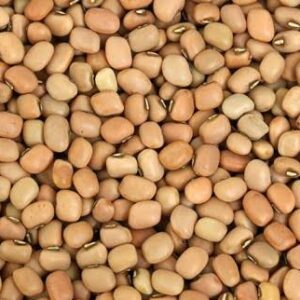 African Best Brown Beans