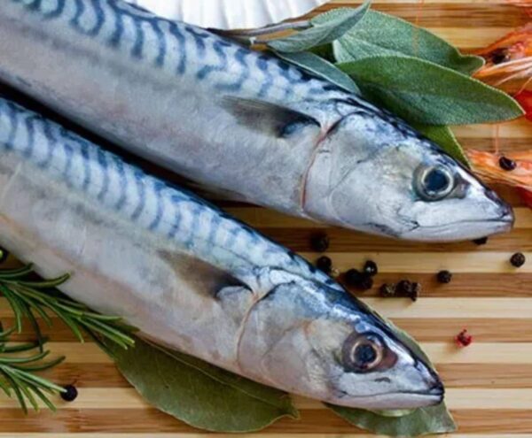 Mackerel 1kg