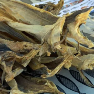Stock Fish