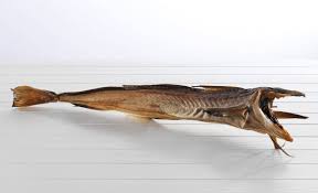 Stock Fish