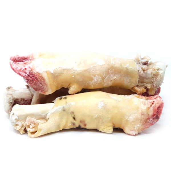 Bonny Cowleg