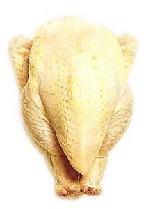 Guinea Fowl