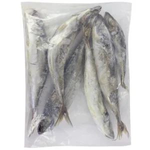Jack Mackerel  3kg