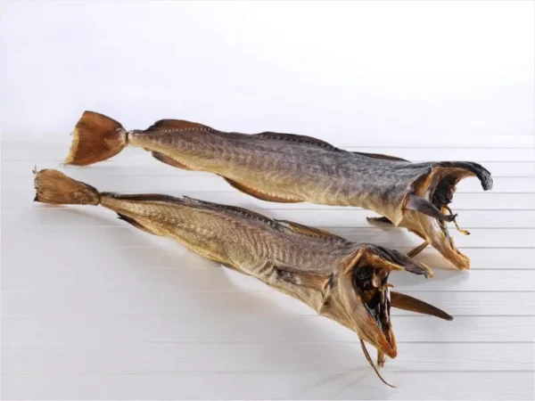 Stock Fish