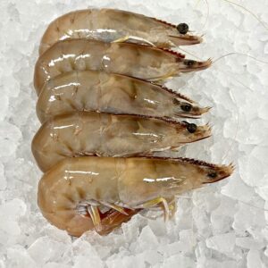 King Prawn