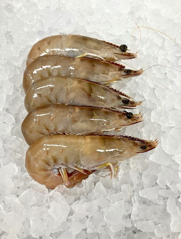 King Prawn