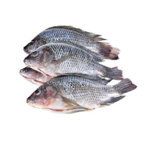 Tilapia 3 in1