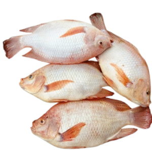 Tilapia 4 in1