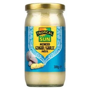TS Ginger Garlic Paste